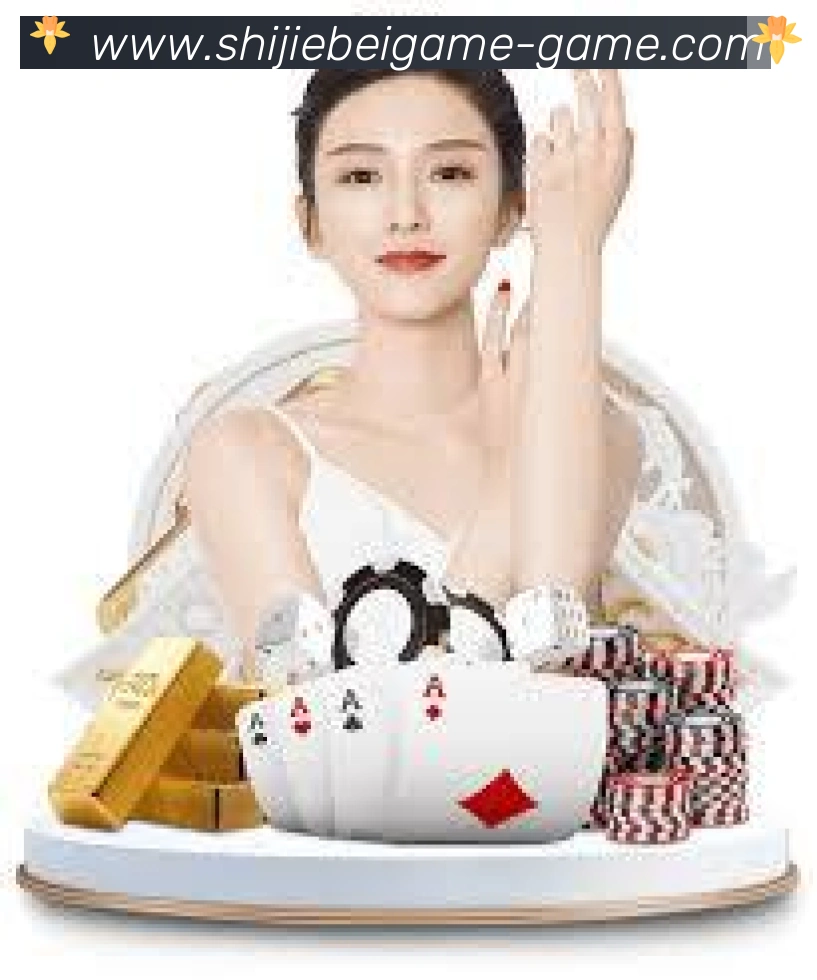 世界杯玩法官方网站发展历程